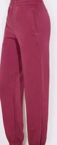 Sundry  NWT Boyfriend Sweatpants Size 2 (medium) in Wine