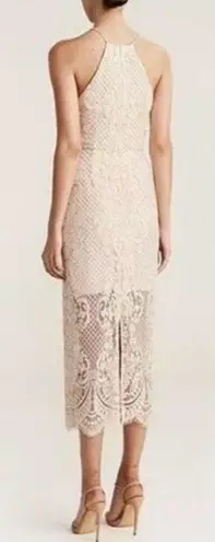 Shona joy Lace High Neck Midi Dress Beige Nude Size 6 Lined Scalloped Hem Bridal