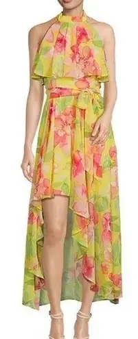 Eliza J NWOT Floral Halter Neck Popover High/Low
Sleeveless Dress Size 12
