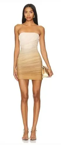 Bardot Rumi Mesh Dress in Brown Ombre