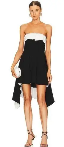 L'Academie  Lennox Mini Dress in Black & White