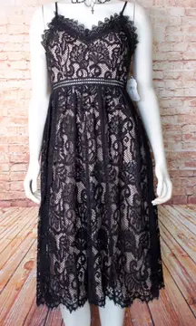 Altar’d State | Black Lace Overlay A-Line Midi Dress