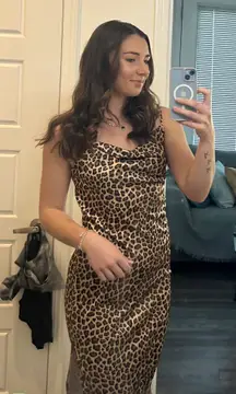 Dress Up Cheetah Print Silk Dress