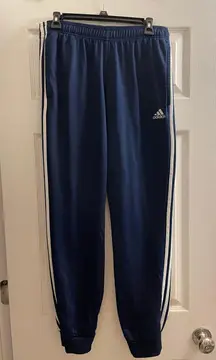 Navy Stripe Track Pants