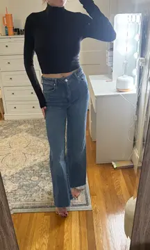 Wilfred Aritzia Ribbed Cropped Mock Neck Long Sleeve