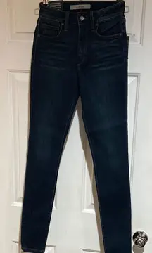 Joe's Jeans Blue Skinny Denim