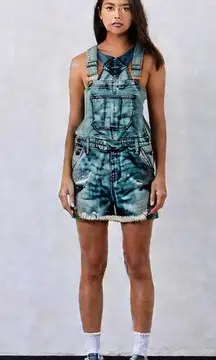 Wild Fable Fringed Denim Overall Shorts XS