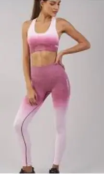 Gymshark energy ombré legging in Beet