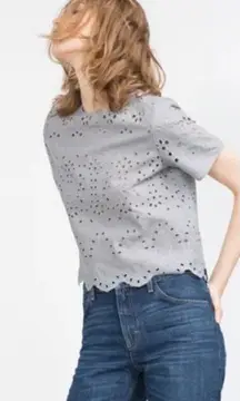 ZARA Eyelet Lace Crop Top with scalloped Hem