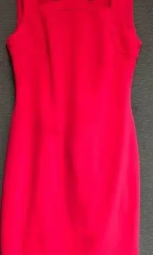 Calvin Klein pink sleeveless dress with brass zipper and decorative neckline