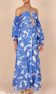 Petal & Pup Blue Maxi Dress