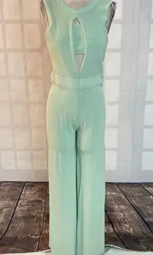 Rehab minty green knit sleeveless bandeau wide leg jumpsuit