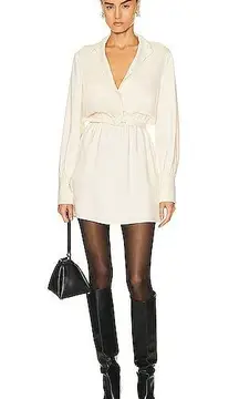 Levina mini long sleeve dress