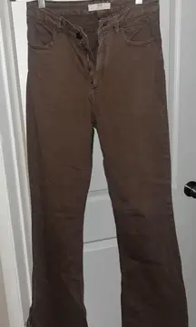 Brown Bootcut Stretch Jean