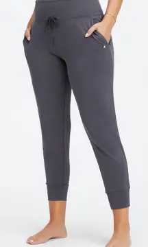 Fabletics Joggers