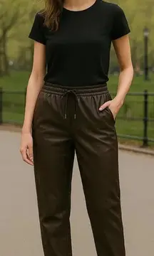 NWT Anthropologie Avec Les Filles Vegan Leather Jogger Pants Cedar Brown Size 2X