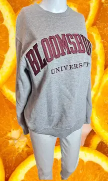 Heather Grey Bloomsburg University‎ Game Day Crewneck Pullover Sweatshirt Size