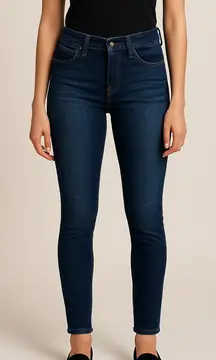 J Brand “The Pencil Leg” Skinny Jeans