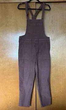 Werk & Play Corduroy Overalls in Brown Size Small