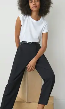 Everlane The‎ Put-Together Pleat Pants Trousers Draped Lyocell Black Size 2