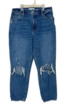 Abercrombie & Fitch Curve Love Ultra High Rise‎ 90s Straight Jeans Size 32/14