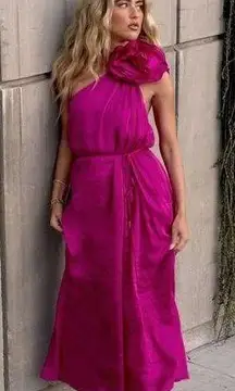 NWT Aje pink dress