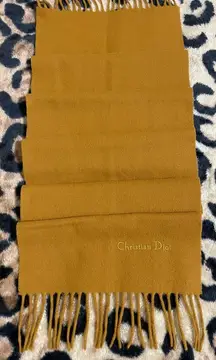 Dior Winter Scarf