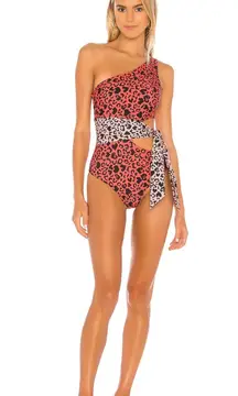 Beach Riot One Piece Leopard Swim