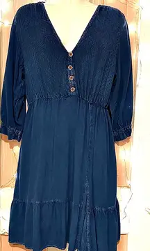 Navy Blue Button-Front denim dress