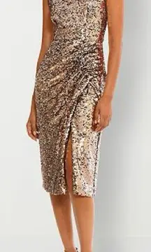 NWT Clover & Sloane Women’s Sleeveless‎ Sequin Midi Sheath Dress - Size 4