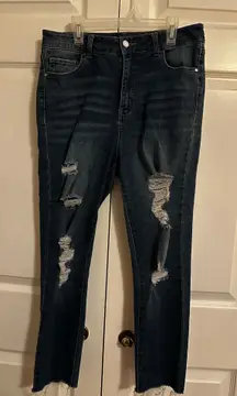 Skinny Jeans TJ Maxx Distressed
