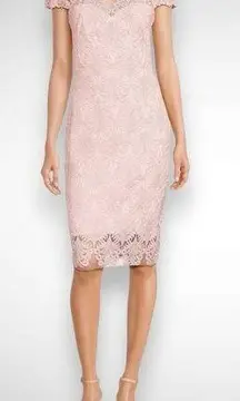 Tadashi Shoji  Illusion Short Sleeve Split V-Neck Corded Lace Sheath Dress Rose Q