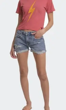 FRAME Le Grand Garcon Short in Montgrove Rips 28