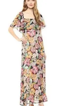 $325‎ Rachel Pally Women's Blue Sheer Long Eden Floral Maxi Dress Size 3X NWT