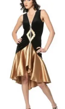 Roaring 20's Flapper Dress Costume With Bonus Wig