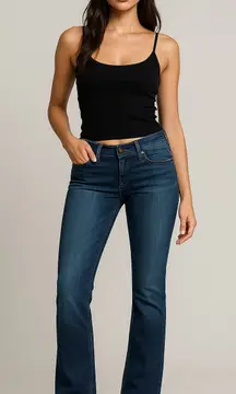 Hudson Jeans Signature Low-Rise Bootcut Back Flap (Estimated Size 27–28)