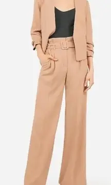 Express Wide Leg High Rise Paperbag Waist Belted Trousers, Tan, Size 8R