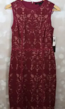 Cynthia Steffe Raspberry Pink Dress Nude Undertone