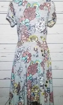 Women’s dress