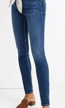 NEW‎ Madewell Petite Curvy High-Rise Skinny Jeans in Hayes Wash, 33P