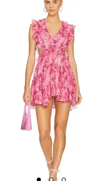 X Revolve Jolie Mini Dress