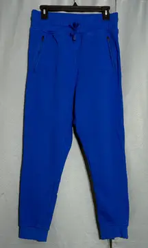 Beach Riot Blue Jogger Pants
