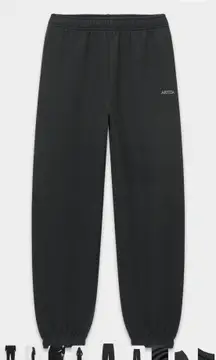 Aritzia TNA Mega Sweatpants