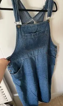 Denim overall dress