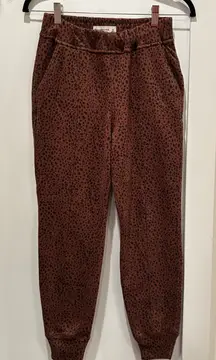 Abercrombie & Fitch Leopard Print Joggers Pockets Front Seam Detail Women's XS