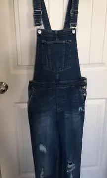 Divided Overalls