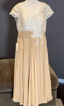 Women’s Ivory Lace Top Chiffon V-Neck with Cap Sleeves Dress Size 14 NWT