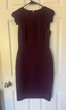 Calvin Klein Purple  Dress