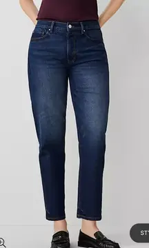 Ann Taylor Tapered Stretch Jeans