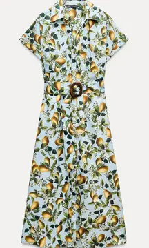 RARE NWOT Fruit Printed Midi Dress w Belt